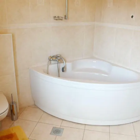 Apartment Penthouse Ivana *